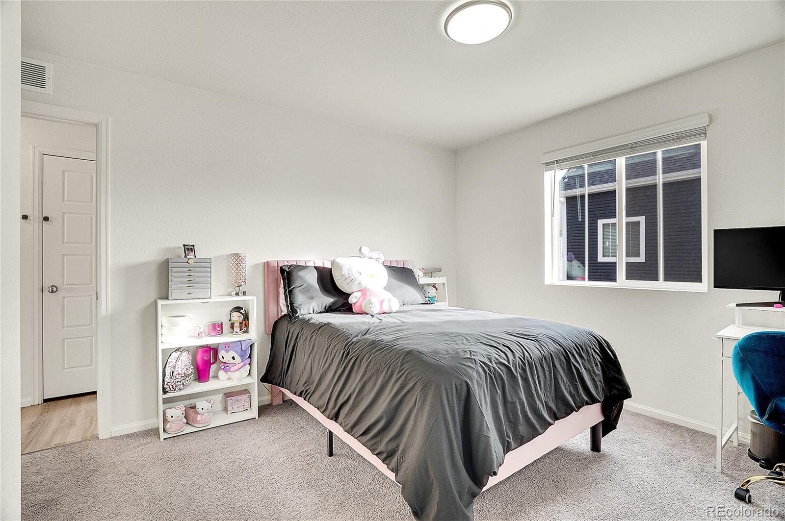MLS Image #12 for 5366 n argonne street,denver, Colorado