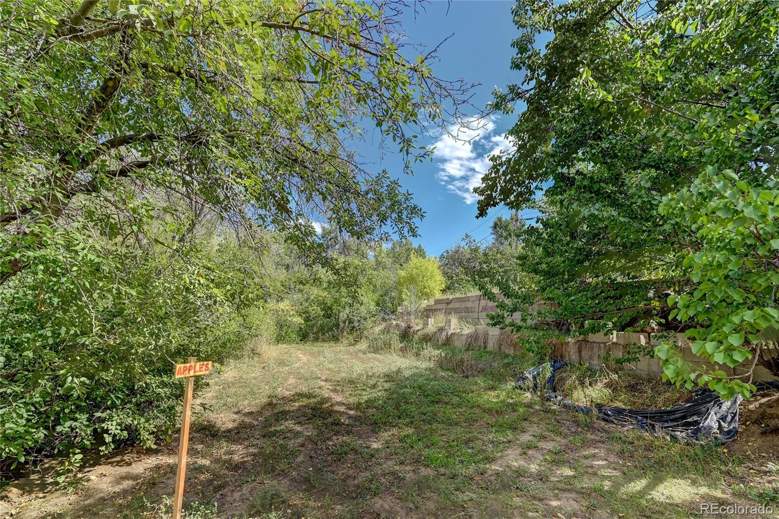 MLS Image #32 for 203 w rafferty gardens avenue,littleton, Colorado