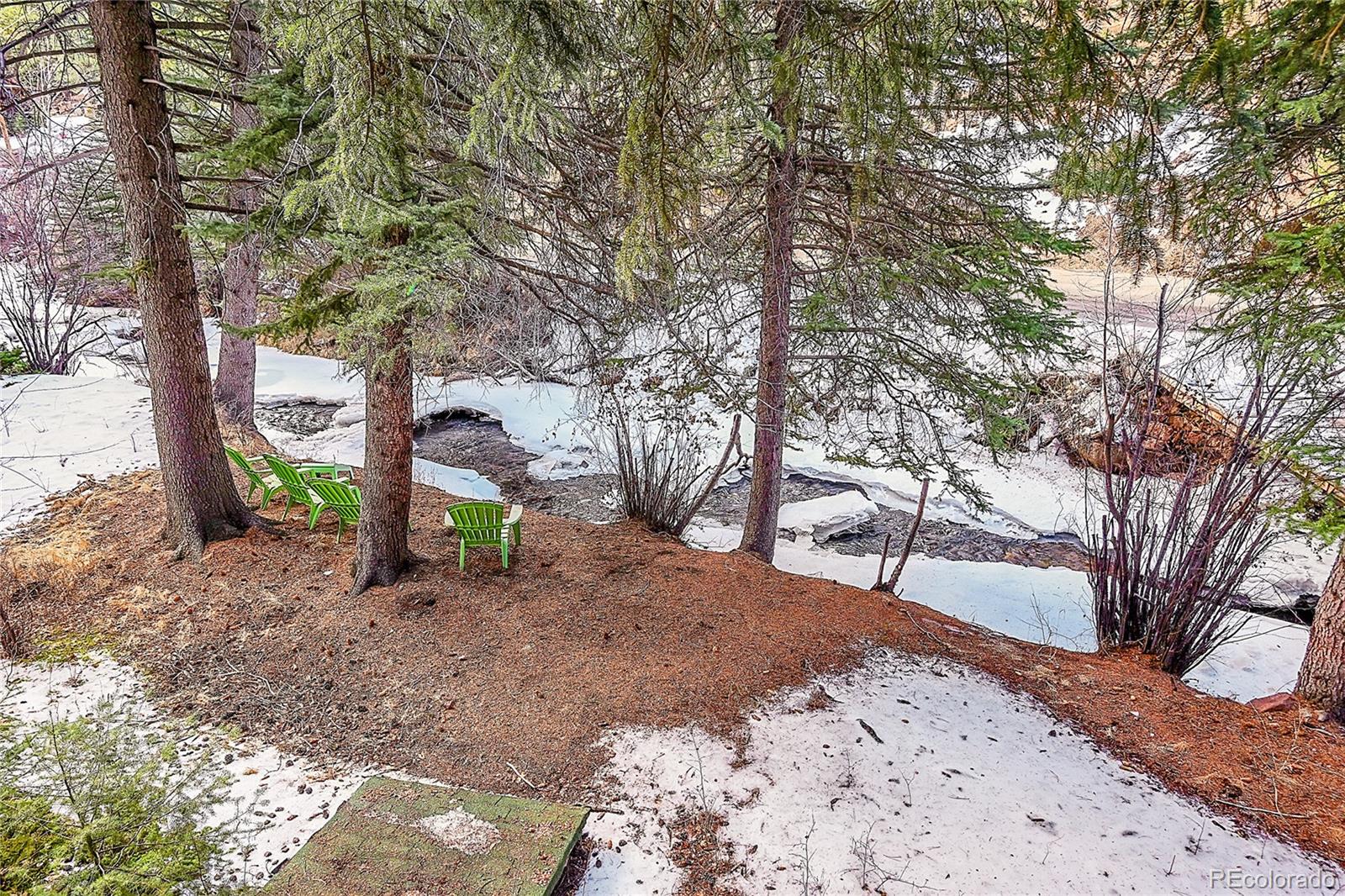 MLS Image #11 for 15740 s elk creek road,pine, Colorado