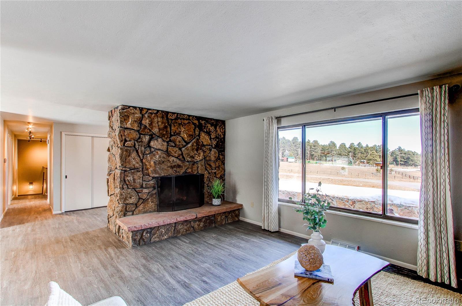 MLS Image #13 for 29196  little big horn drive,evergreen, Colorado