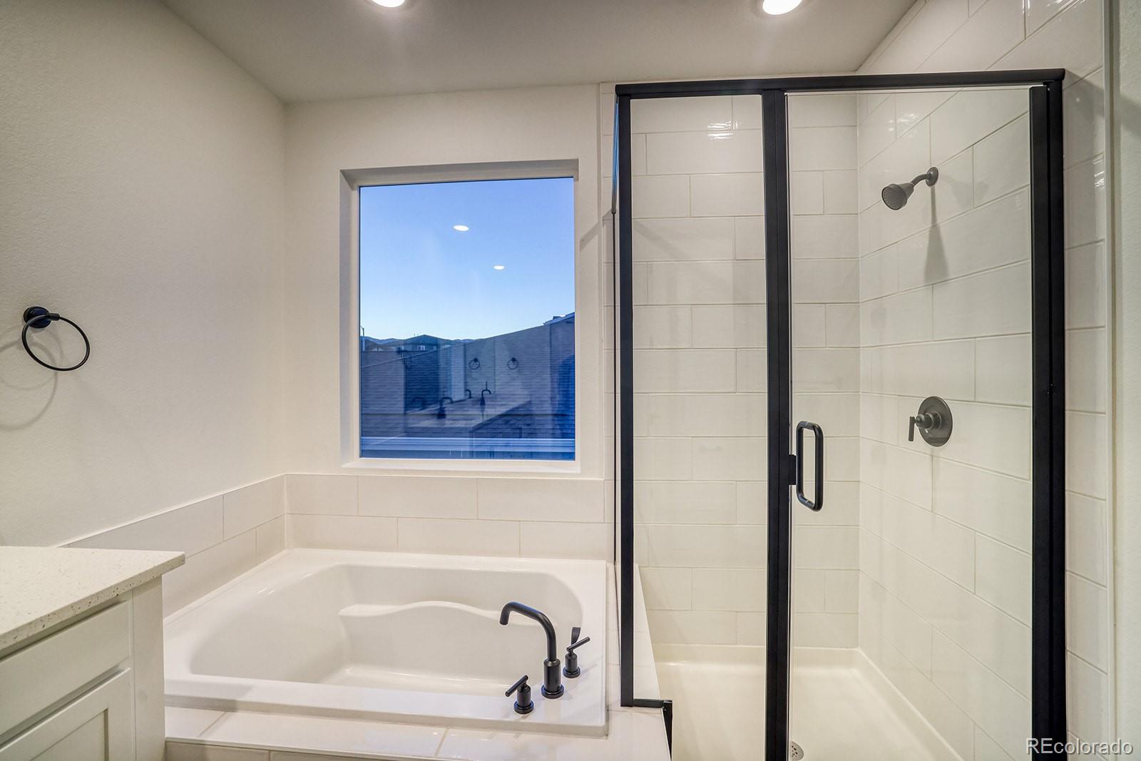 MLS Image #12 for 8512  orchard city drive,littleton, Colorado
