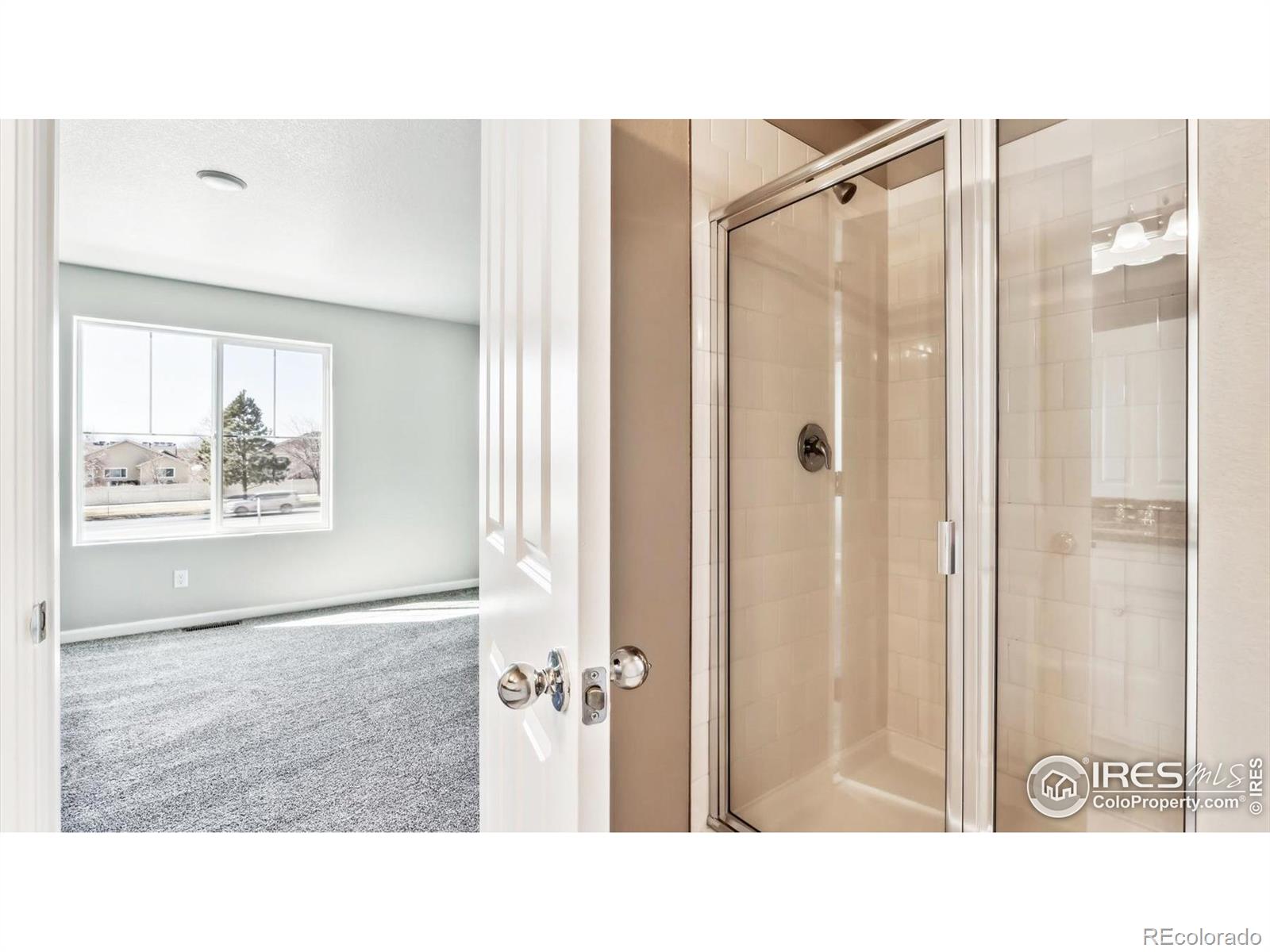 MLS Image #14 for 284  scaup lane,johnstown, Colorado