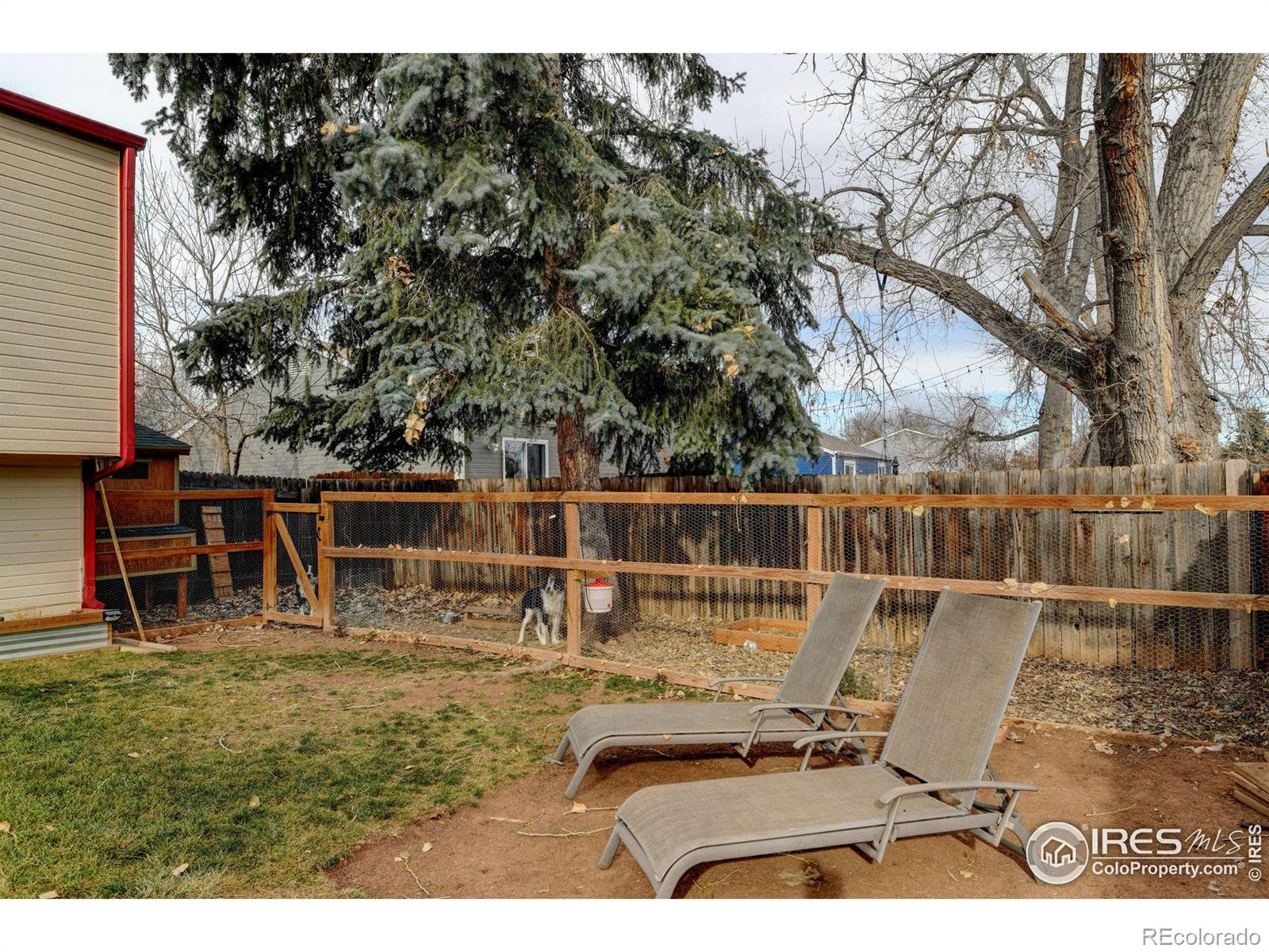 MLS Image #30 for 3148  sharps street,fort collins, Colorado