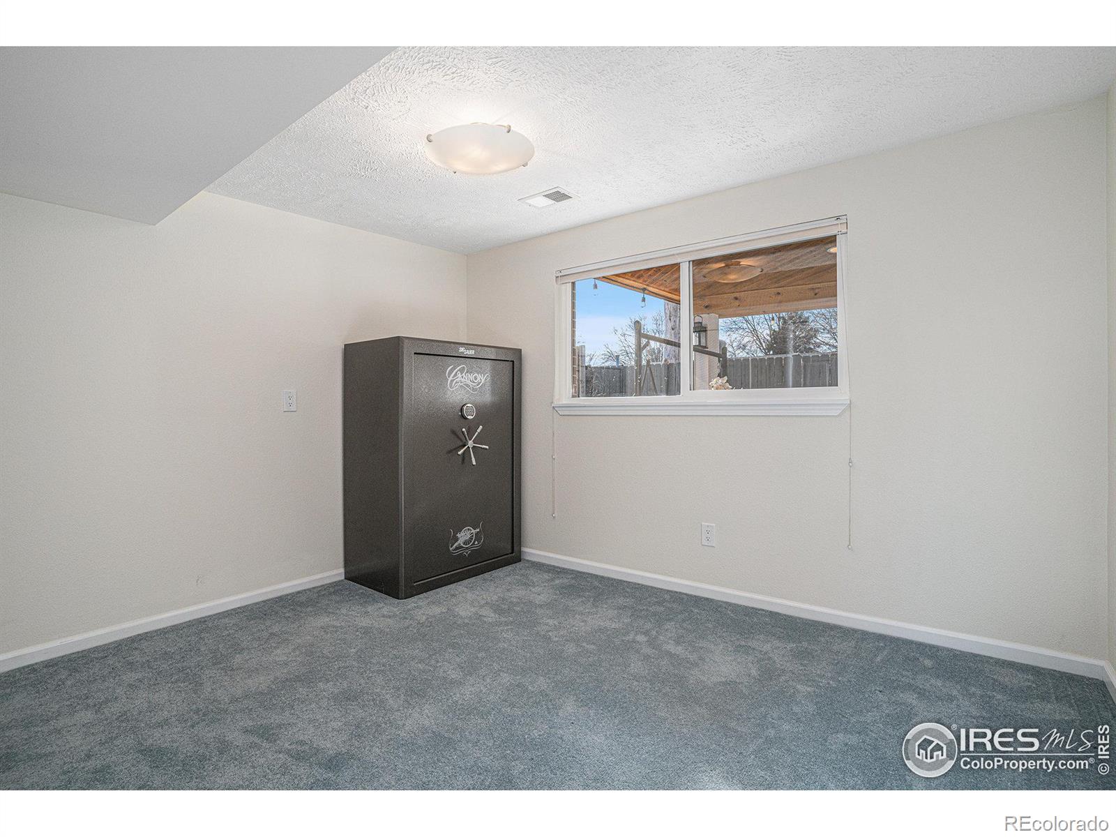 MLS Image #16 for 453  newman circle,longmont, Colorado