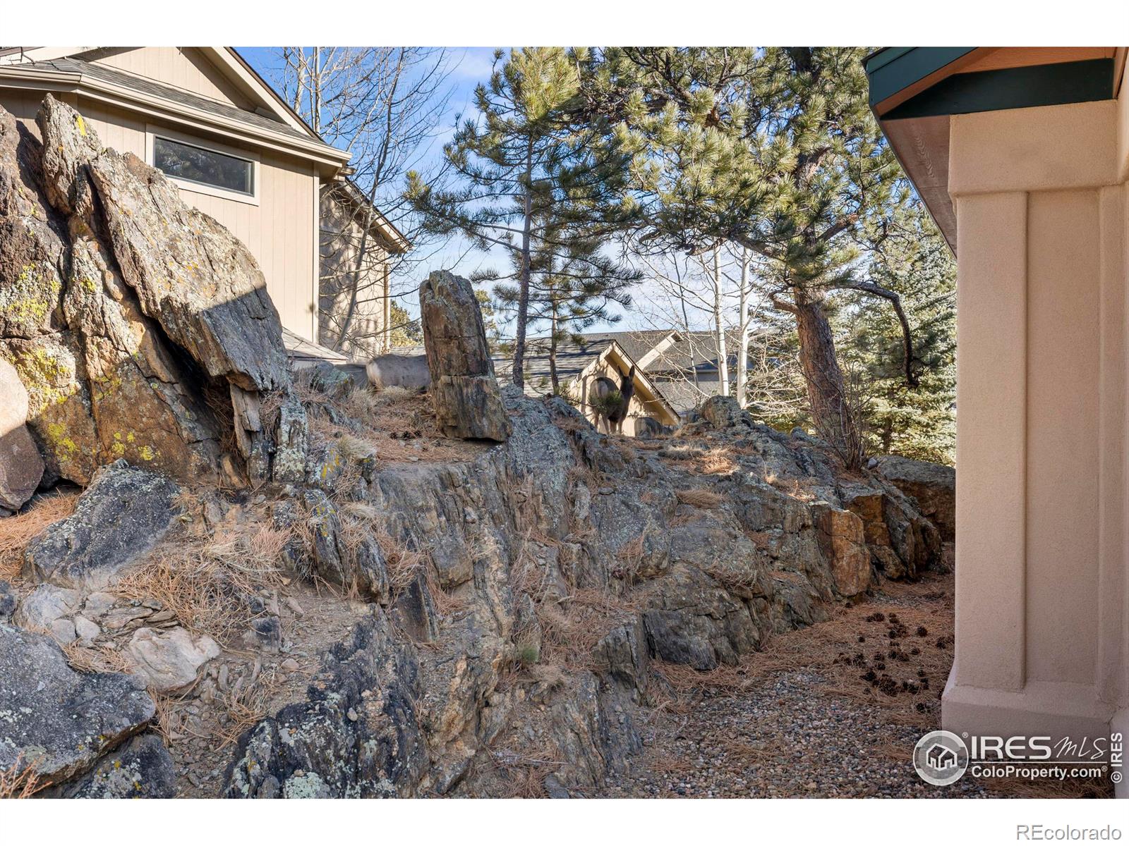 MLS Image #37 for 315  big horn drive,estes park, Colorado