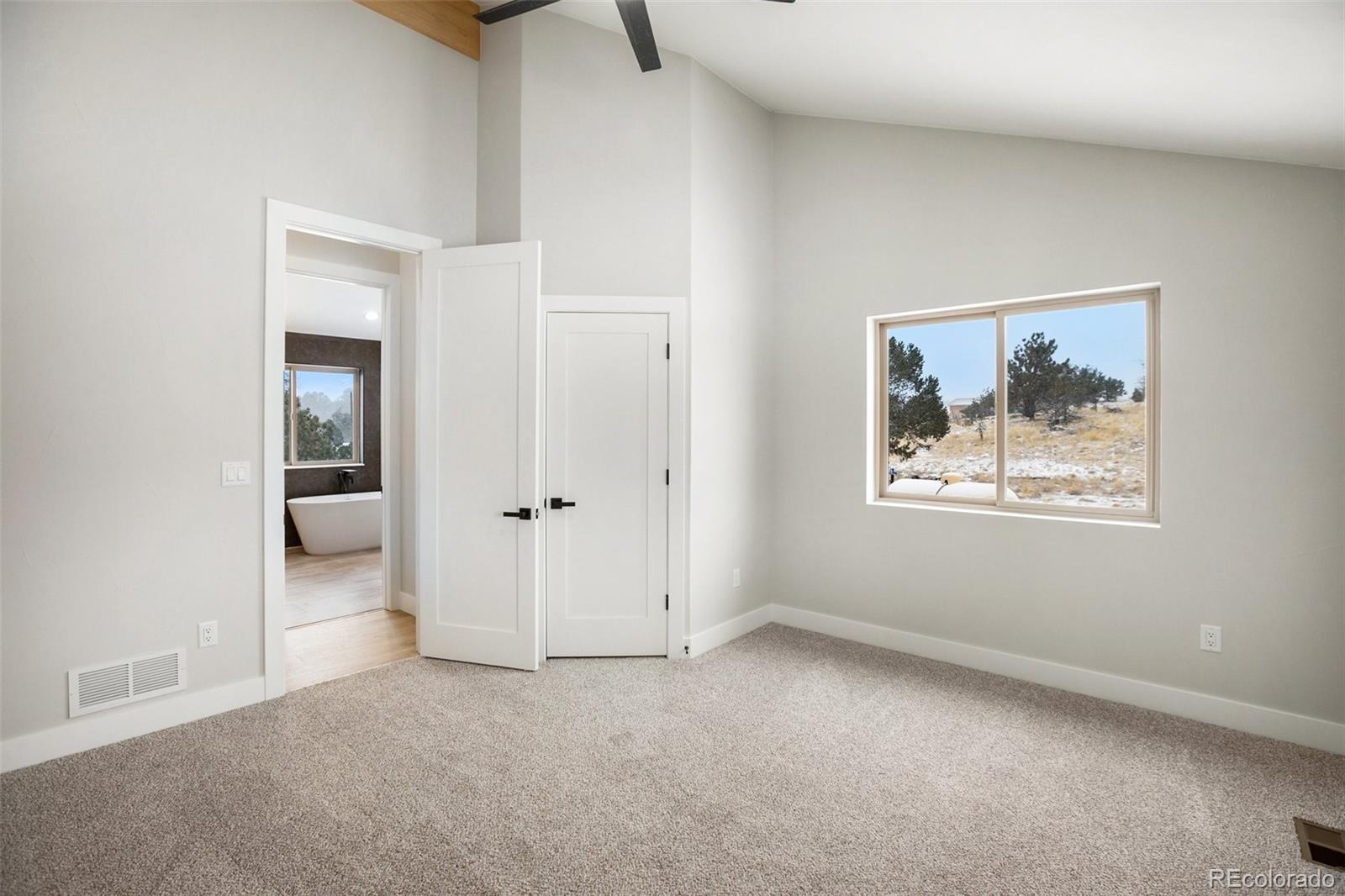 MLS Image #19 for 437  chateau vista drive,florissant, Colorado