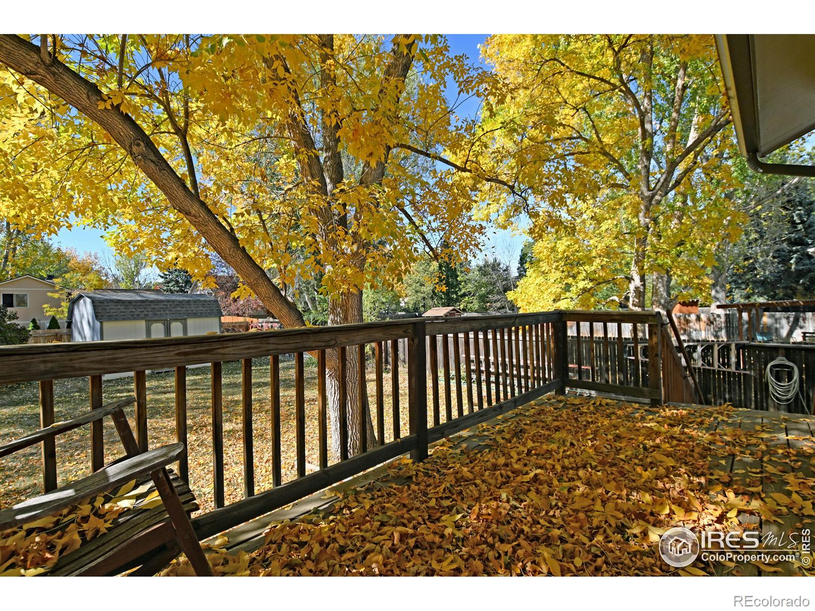 MLS Image #29 for 2919  sagebrush drive,fort collins, Colorado