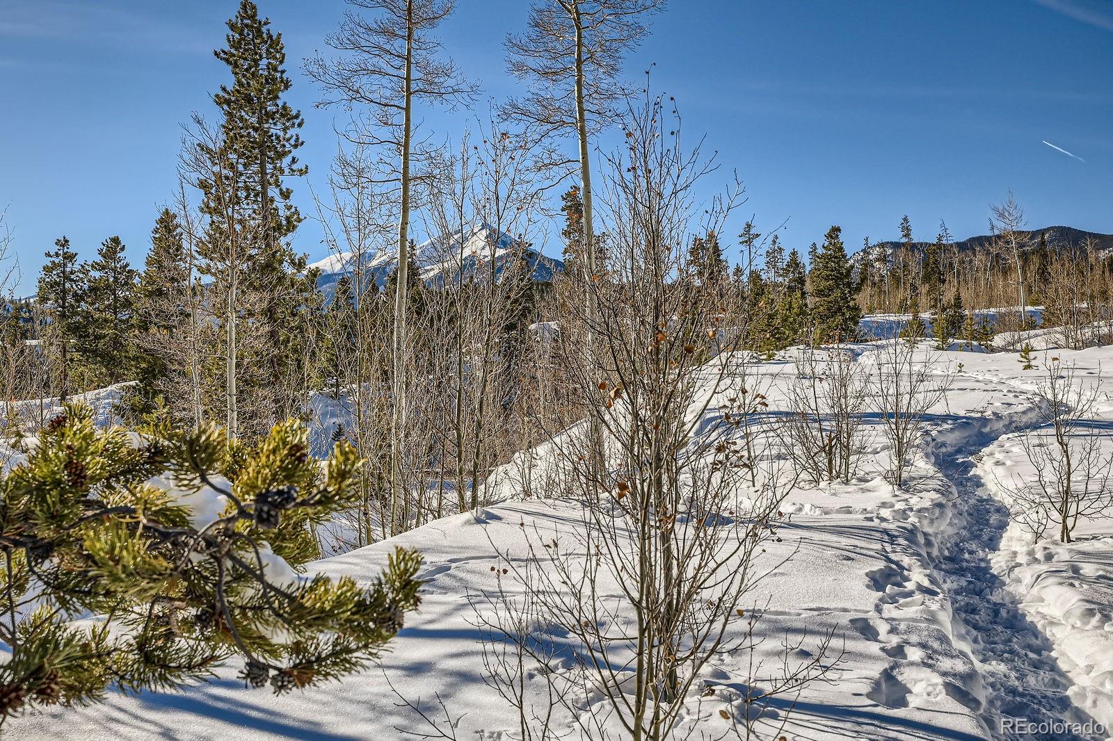 MLS Image #26 for 423  salt lick circle,silverthorne, Colorado