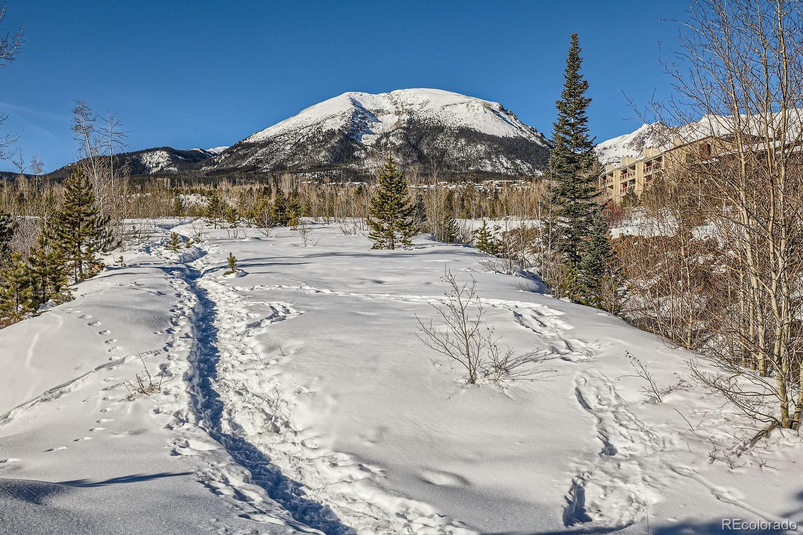 MLS Image #27 for 423  salt lick circle,silverthorne, Colorado