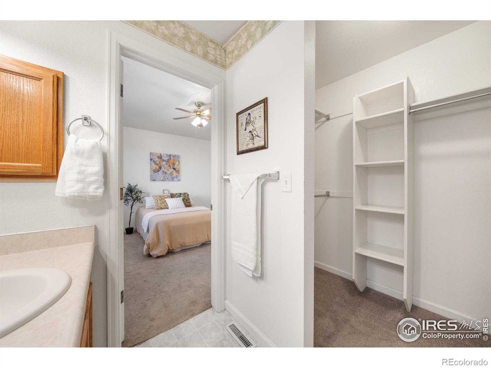 MLS Image #19 for 3228  pheasant street,evans, Colorado