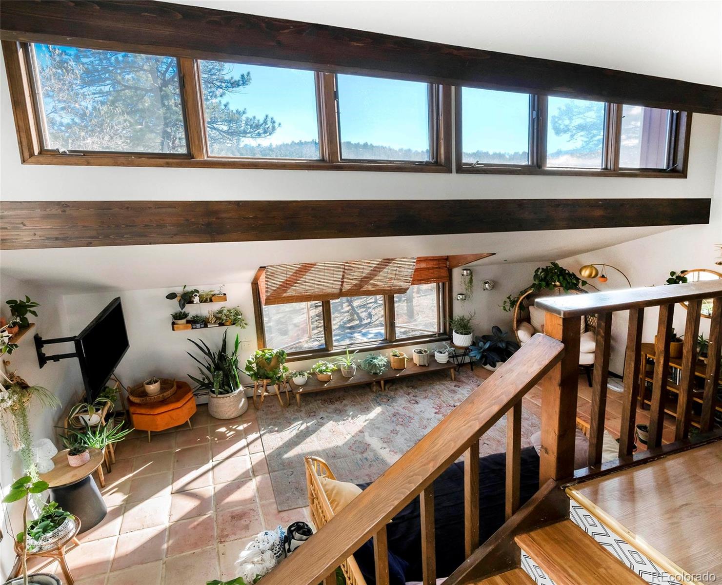 MLS Image #9 for 29116  pine road,evergreen, Colorado