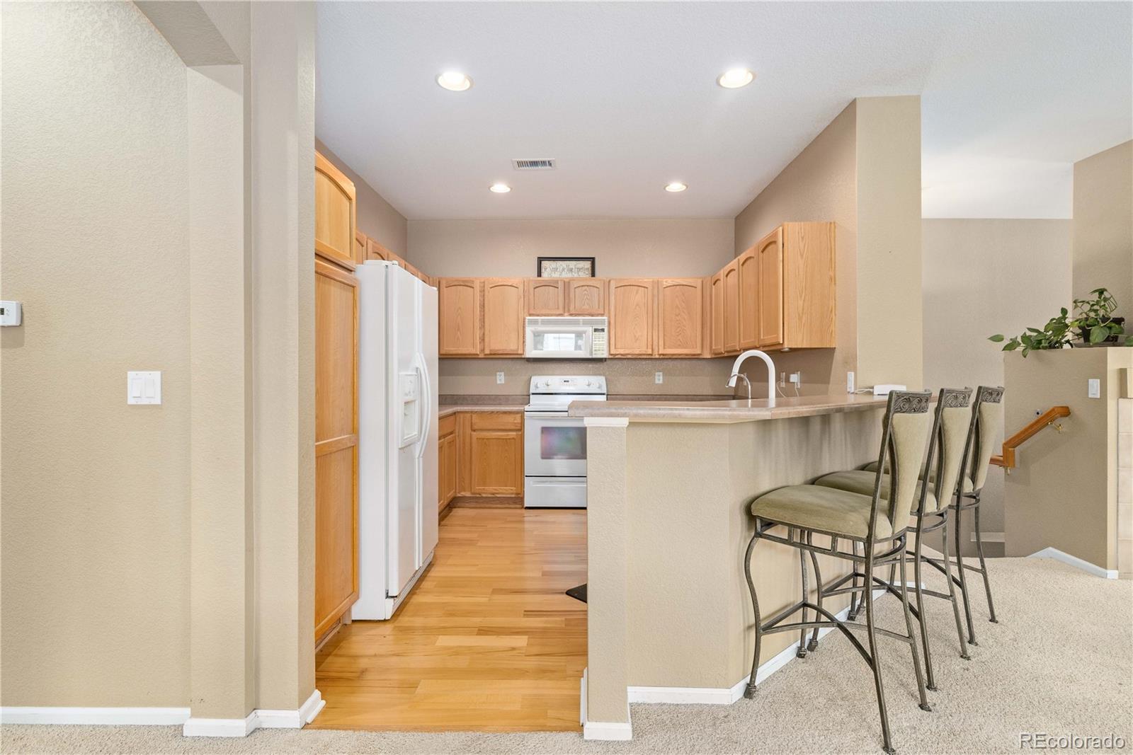 MLS Image #13 for 32  whitehaven circle ,highlands ranch, Colorado