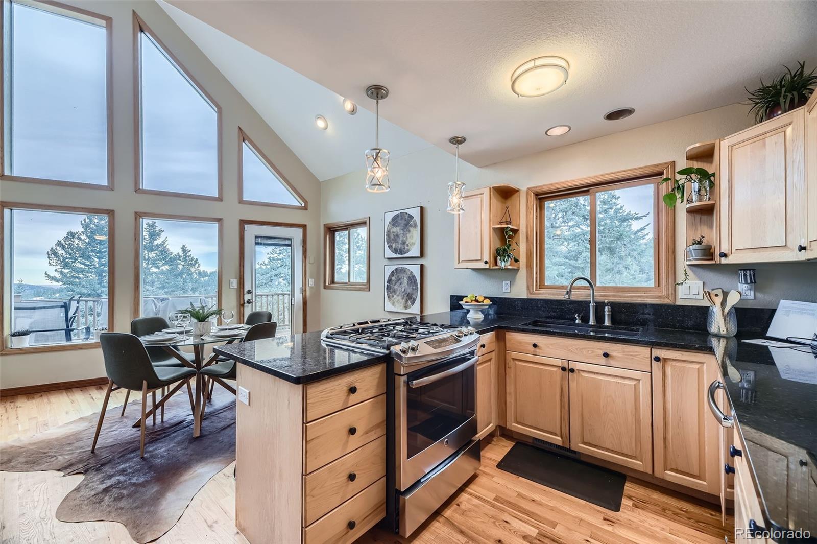 MLS Image #9 for 5879  high drive,evergreen, Colorado