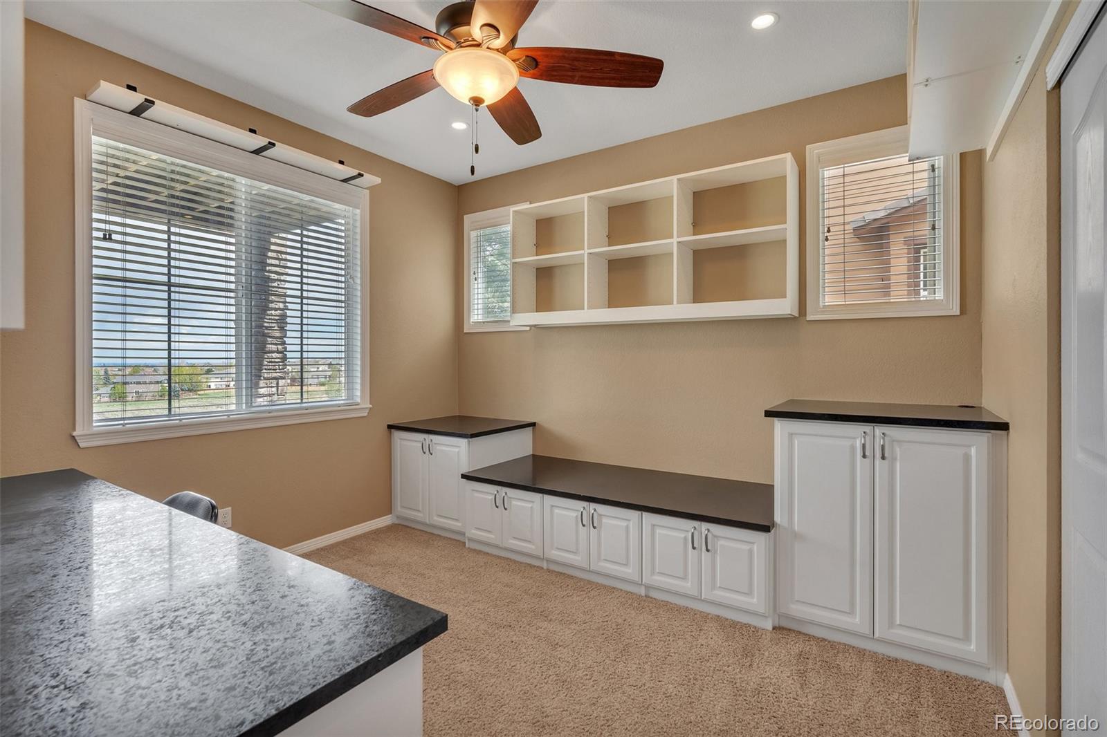 MLS Image #18 for 3873  fairbrook point,highlands ranch, Colorado