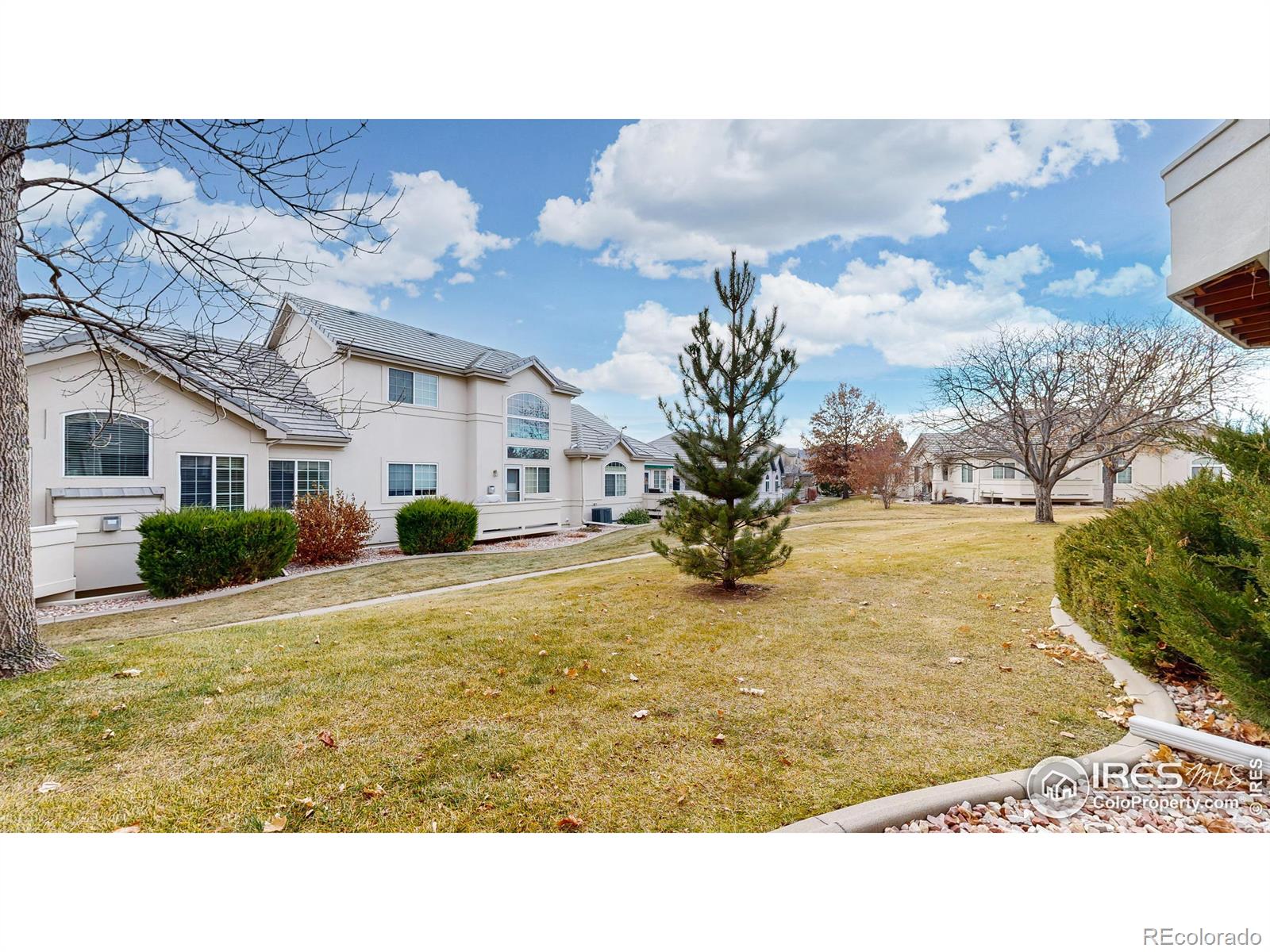 MLS Image #31 for 505  clubhouse drive,loveland, Colorado