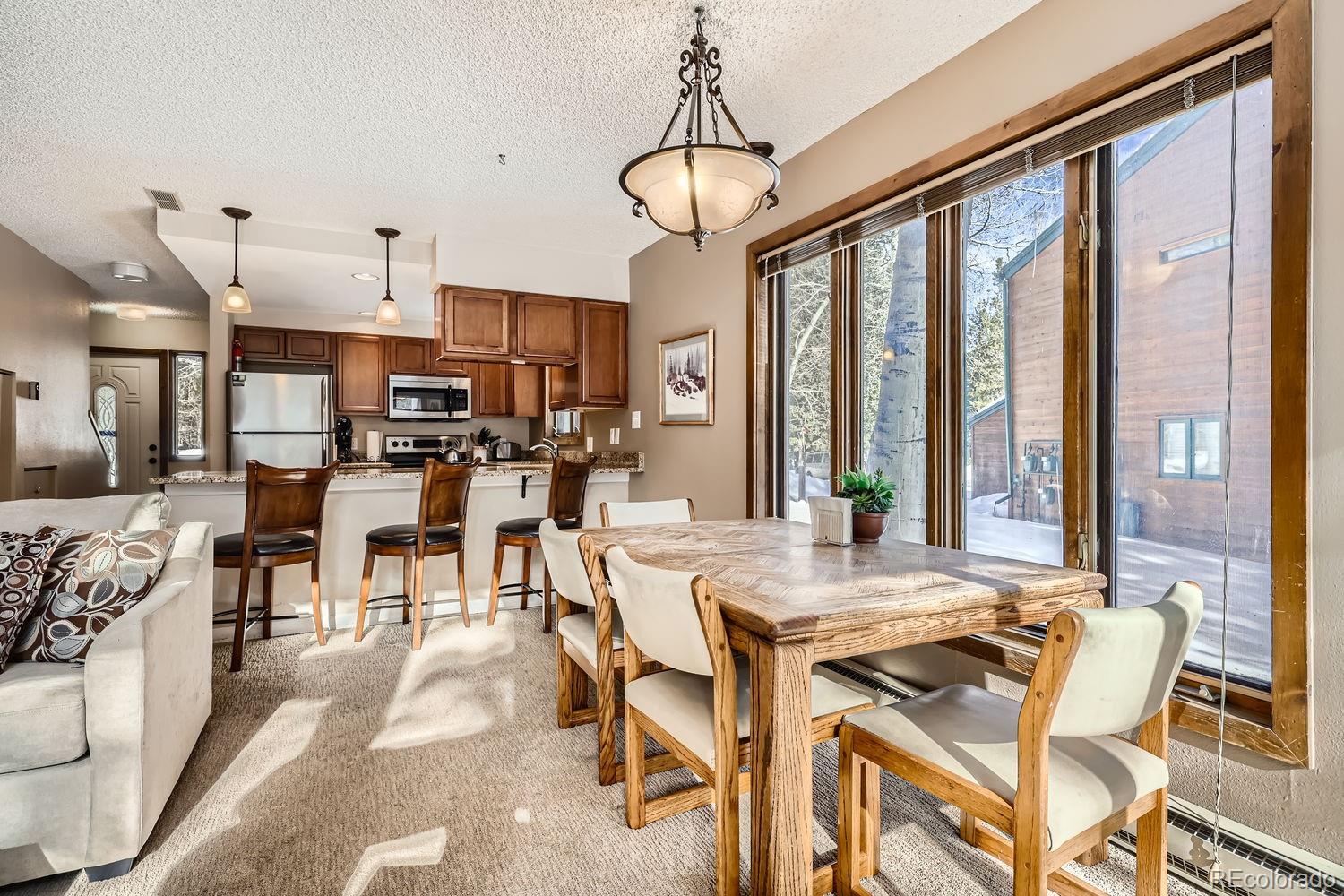 MLS Image #10 for 85  madison avenue,frisco, Colorado