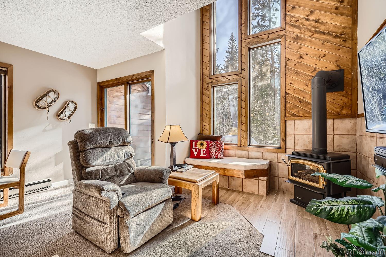 MLS Image #2 for 85  madison avenue,frisco, Colorado