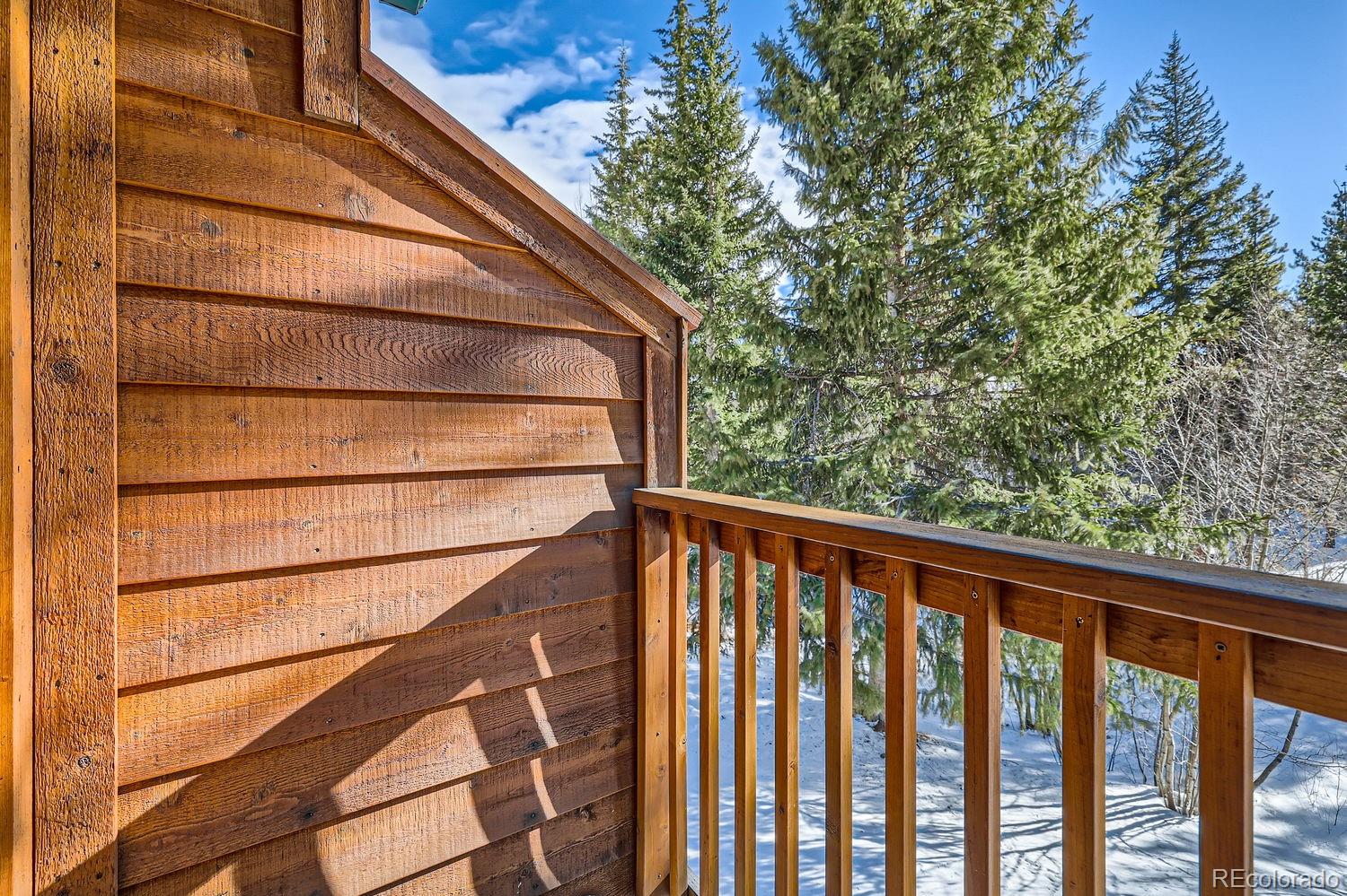 MLS Image #21 for 85  madison avenue,frisco, Colorado