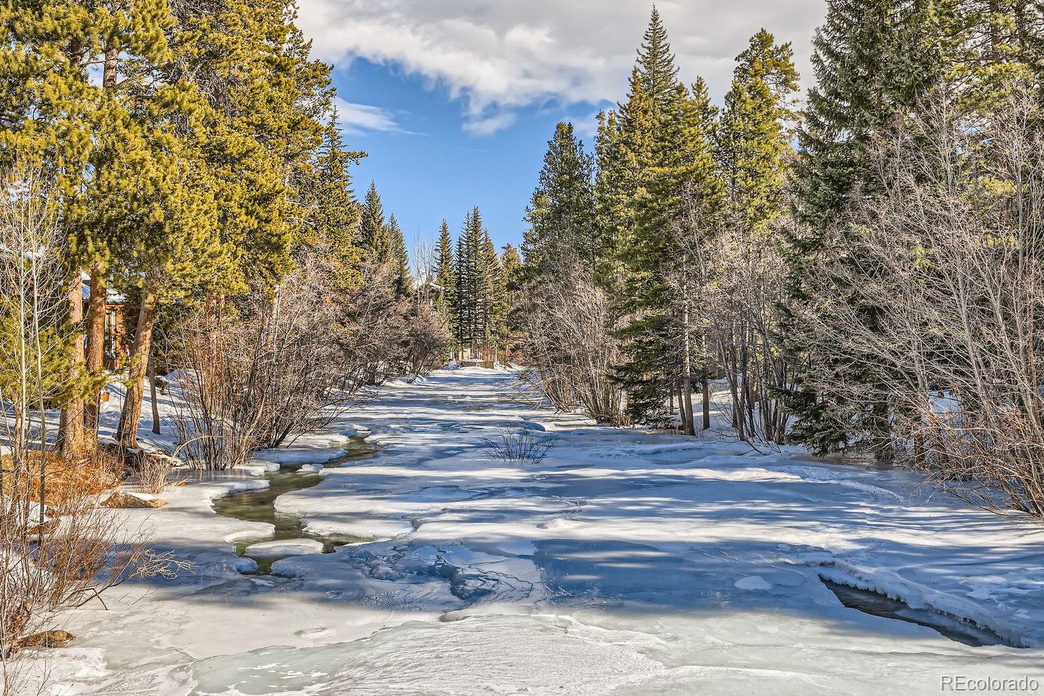 MLS Image #25 for 85  madison avenue,frisco, Colorado