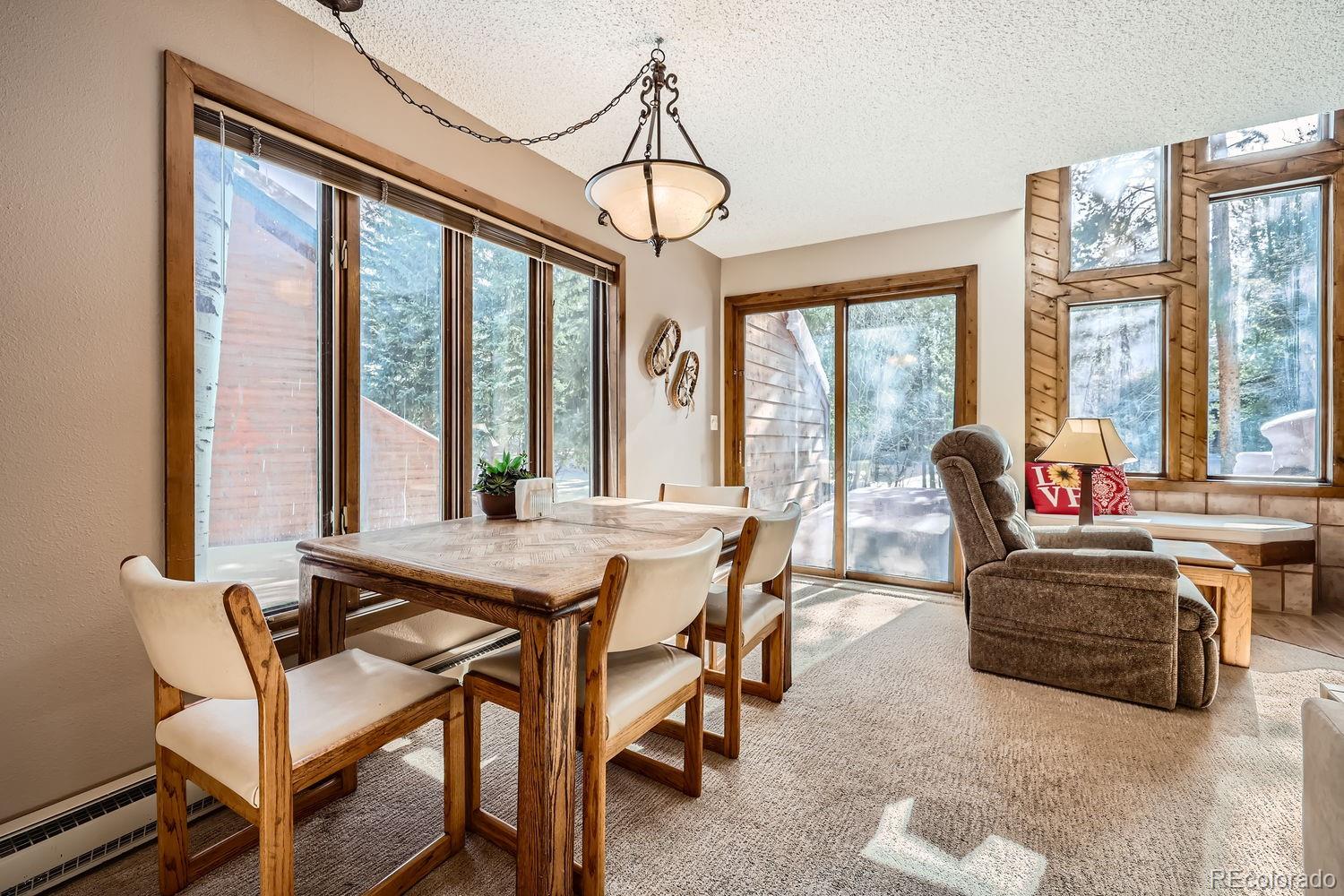 MLS Image #9 for 85  madison avenue,frisco, Colorado