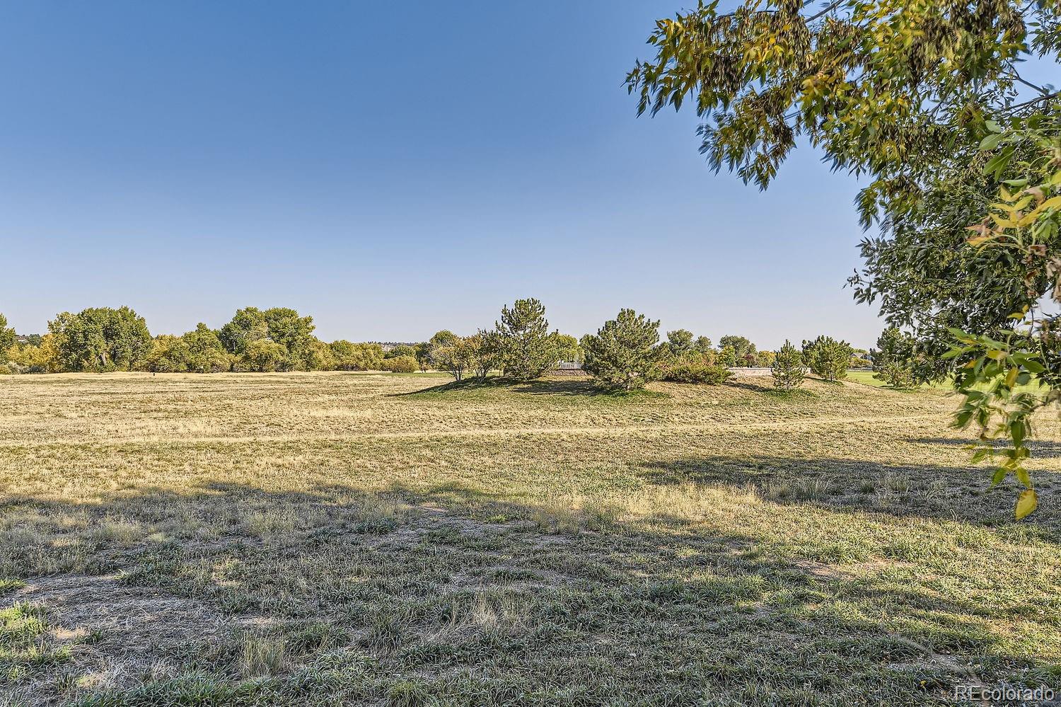 MLS Image #26 for 8672  apache plume drive,parker, Colorado