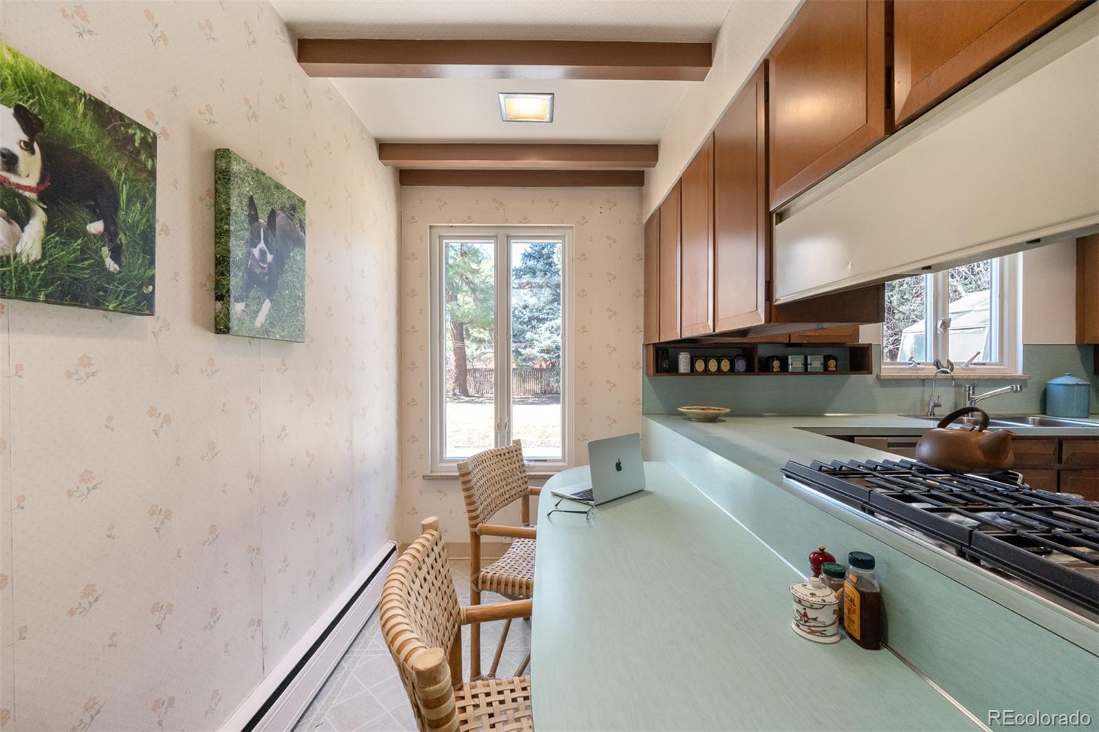 MLS Image #13 for 995 s jackson street,denver, Colorado