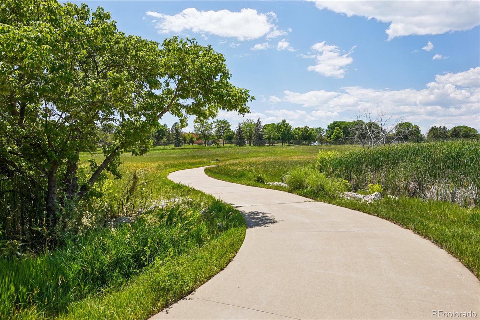 MLS Image #29 for 2154  campo court,loveland, Colorado