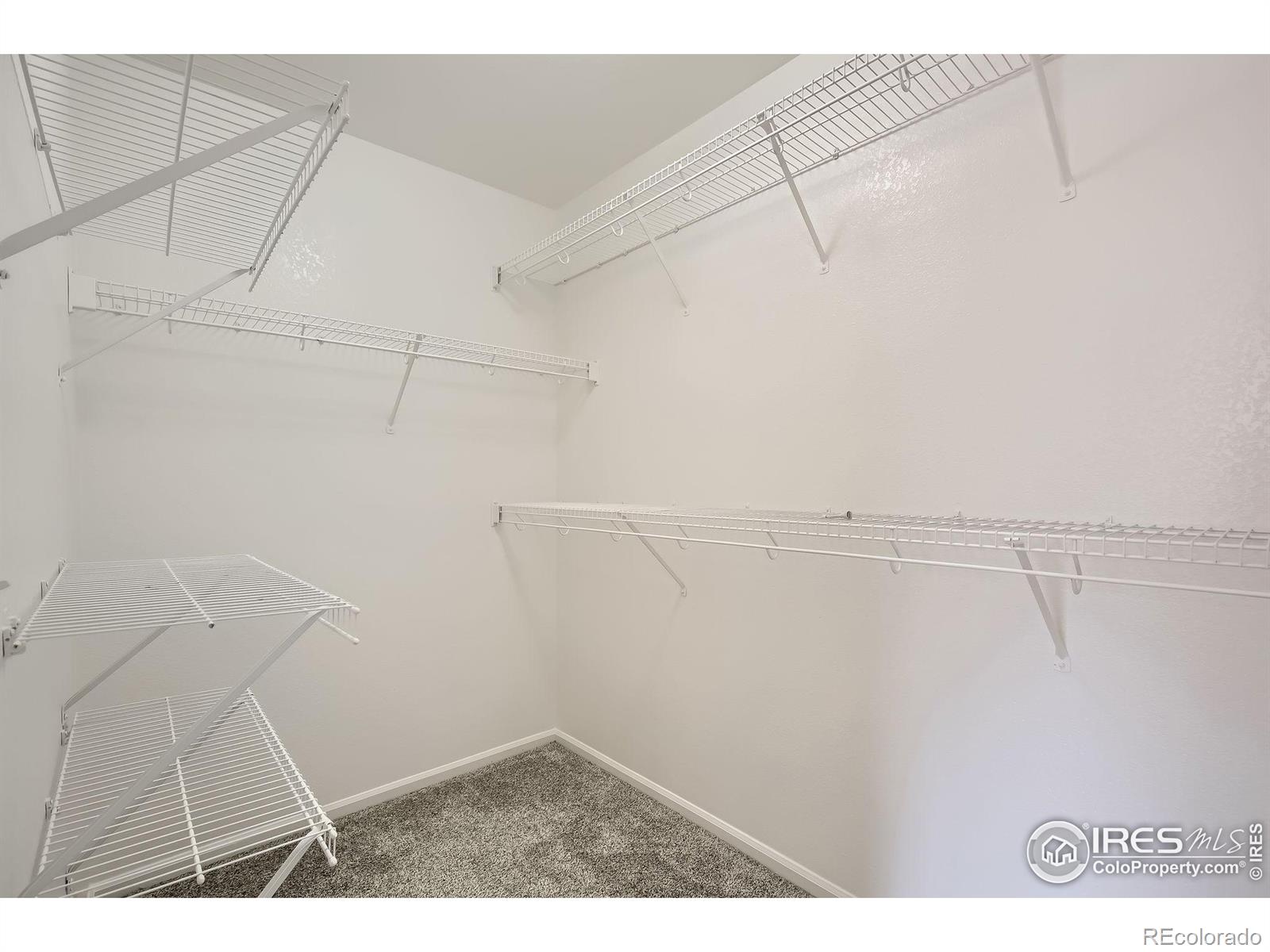 MLS Image #20 for 1907  green wing drive,johnstown, Colorado