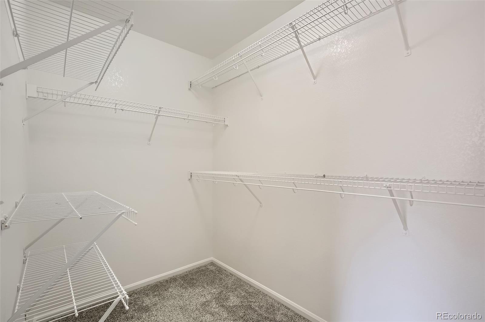 MLS Image #19 for 1907  green wing drive,johnstown, Colorado
