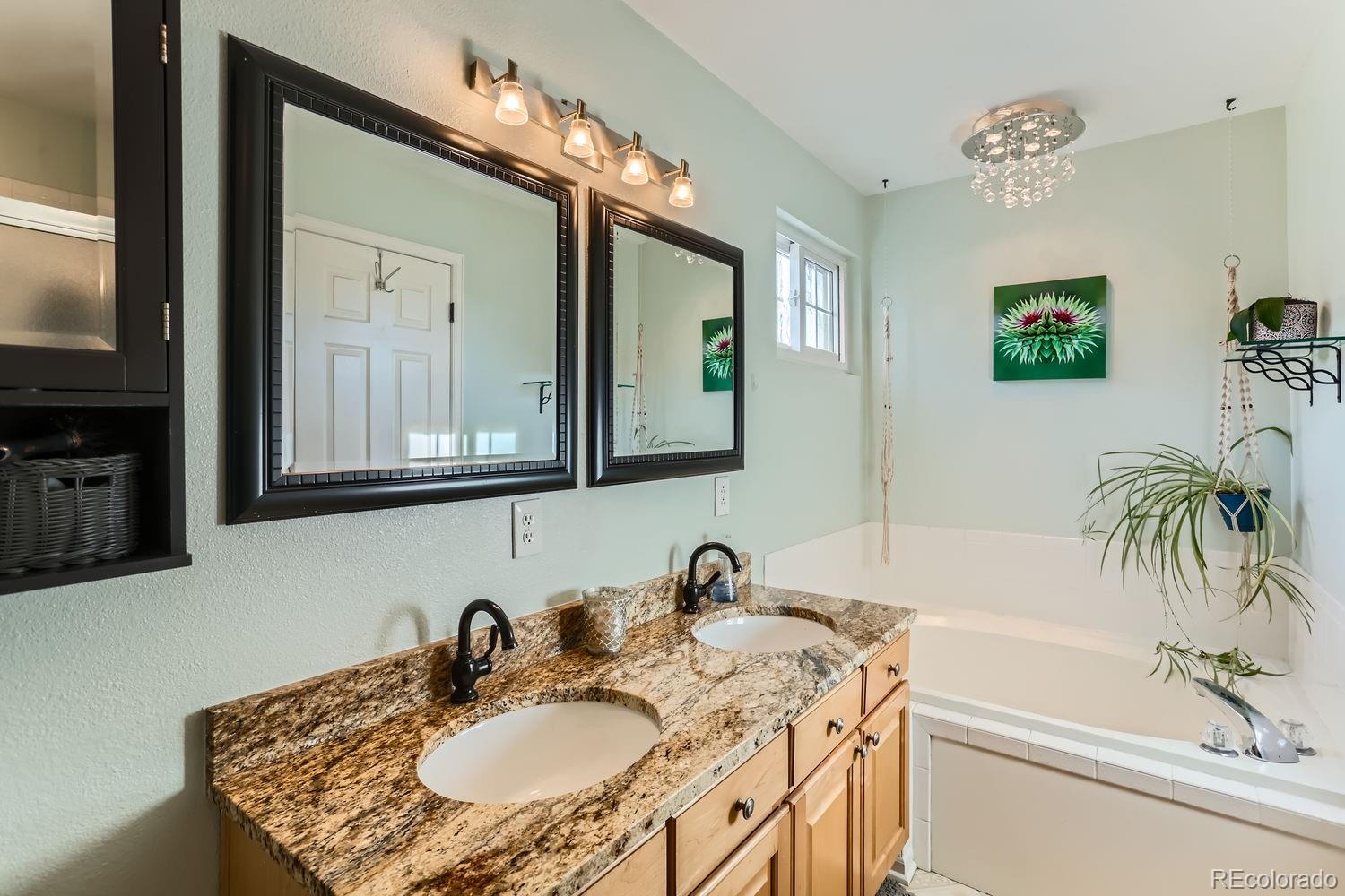 MLS Image #15 for 1058  mulberry lane,highlands ranch, Colorado