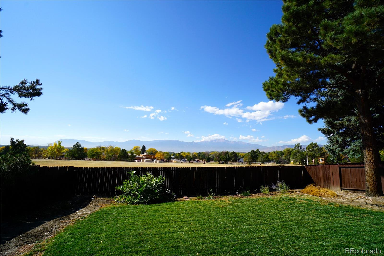 MLS Image #46 for 3809  nuevo drive,colorado springs, Colorado