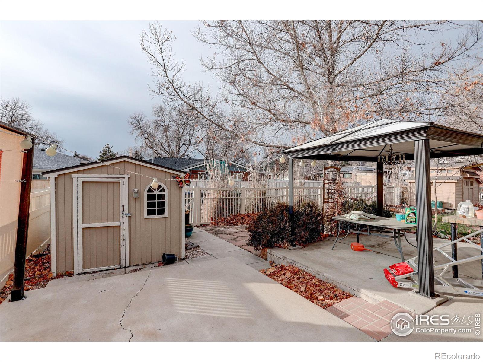 MLS Image #5 for 1643  vivian street,longmont, Colorado