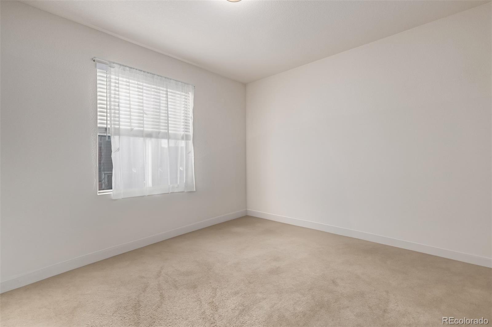 MLS Image #19 for 12030  song bird hills street,parker, Colorado