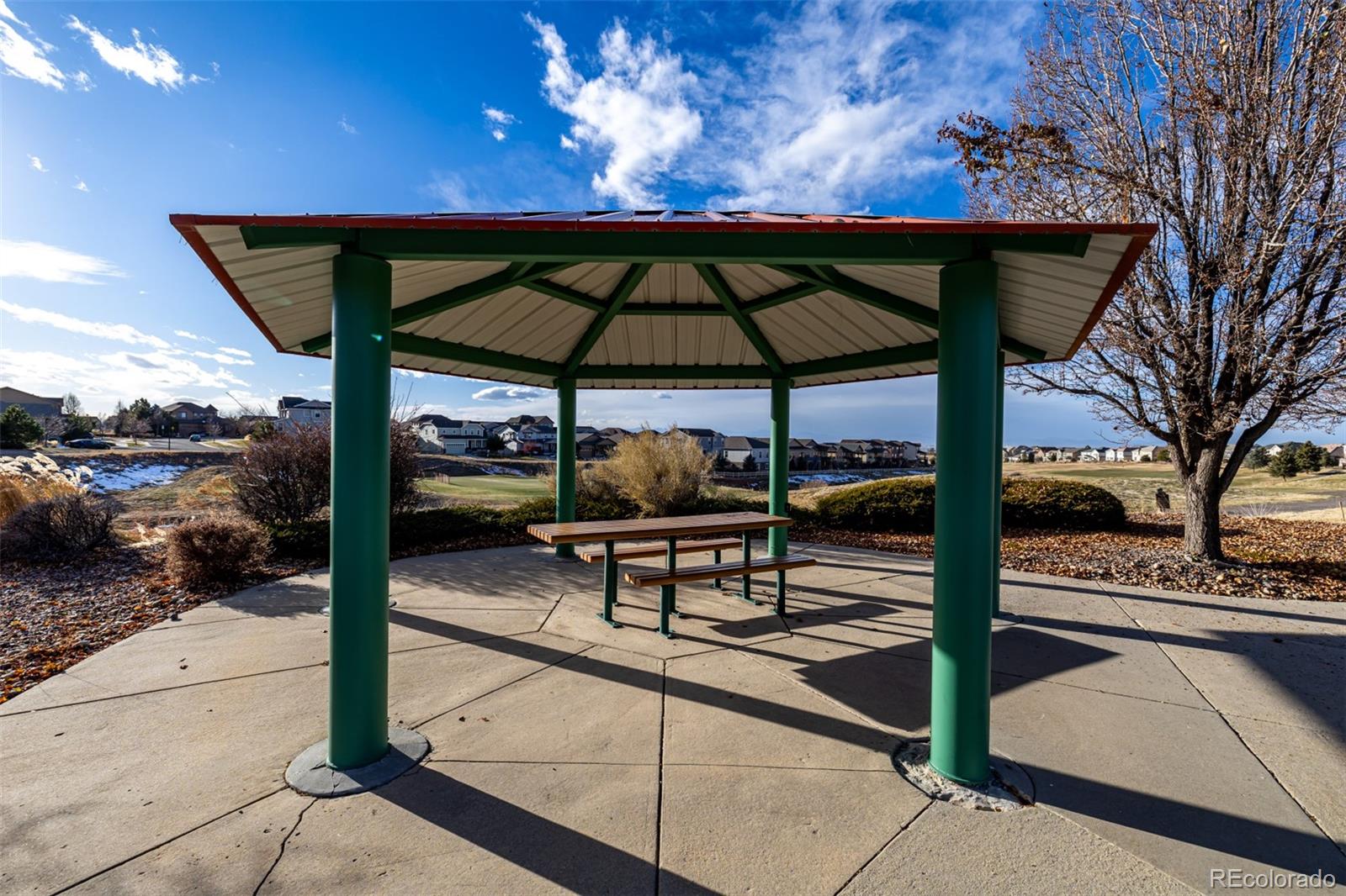 MLS Image #35 for 12030  song bird hills street,parker, Colorado