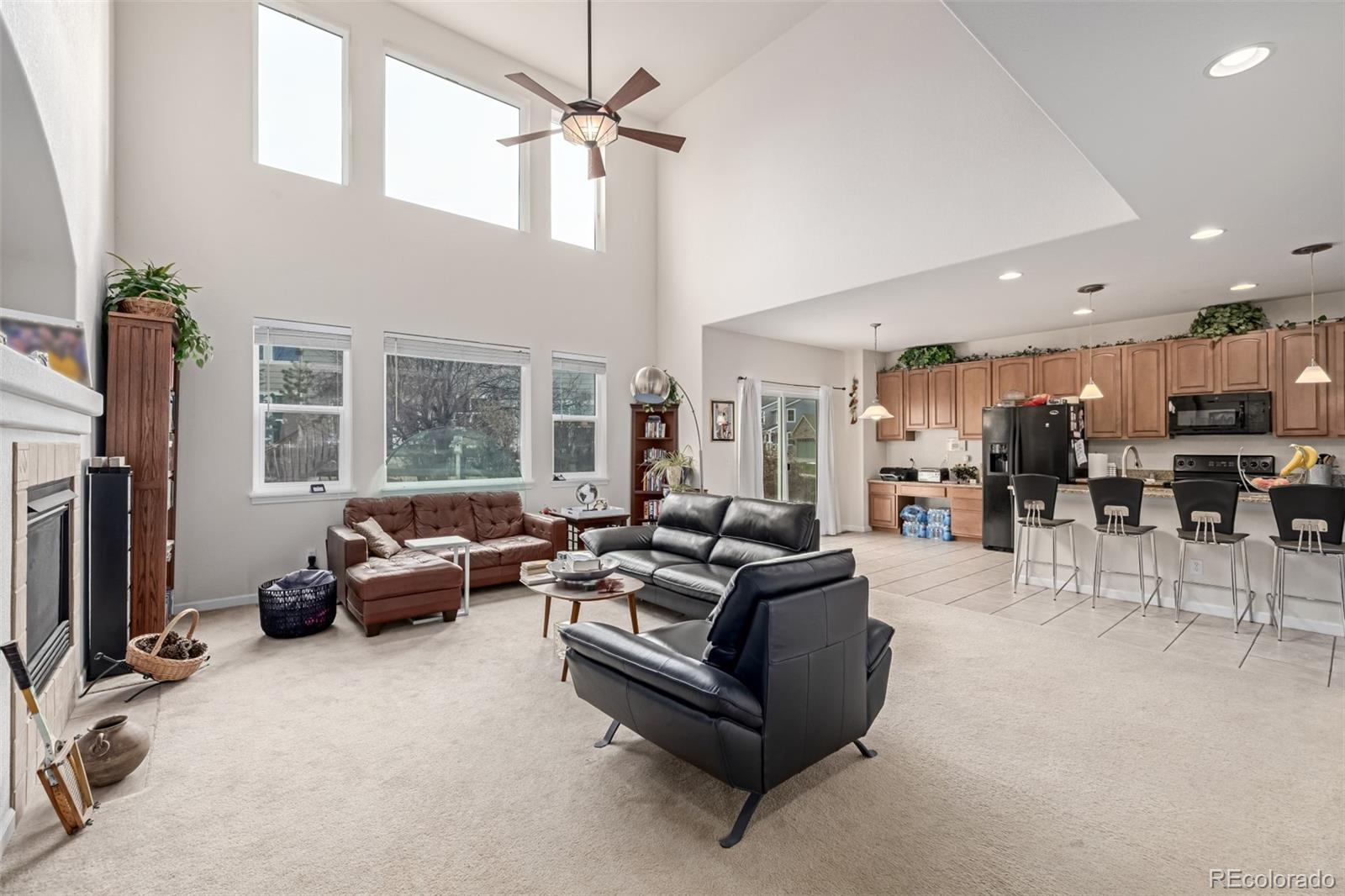 MLS Image #4 for 12030  song bird hills street,parker, Colorado