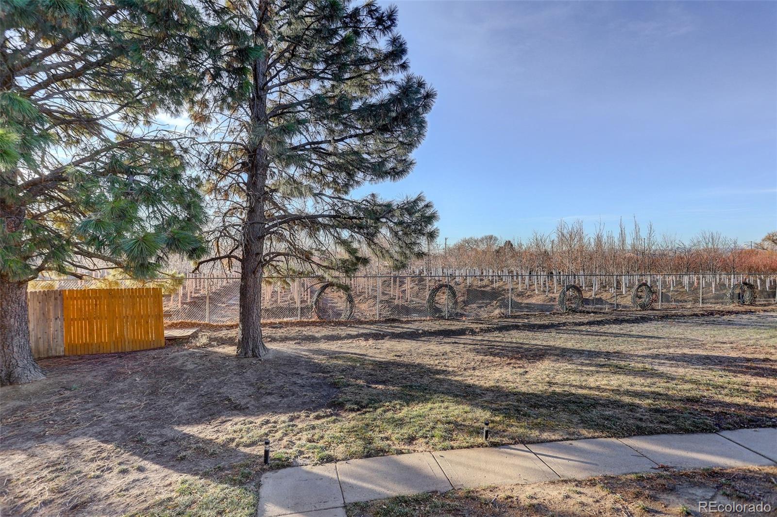 MLS Image #2 for 7877  york street,denver, Colorado