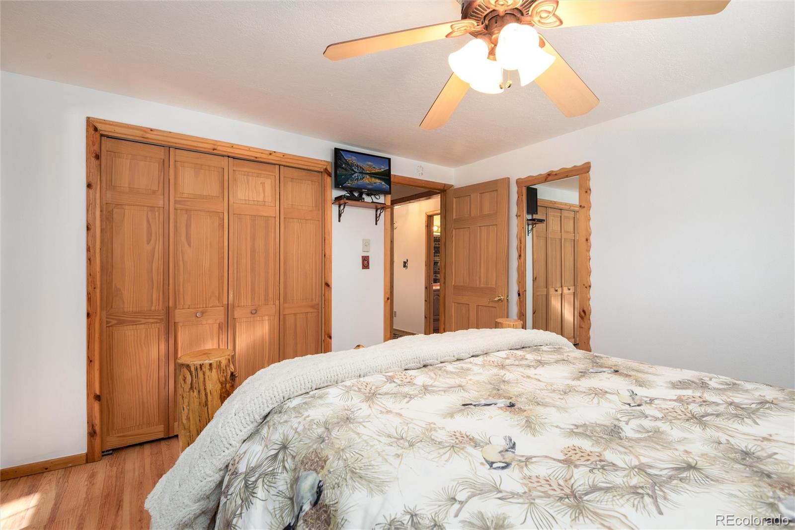 MLS Image #20 for 26347  de berry street,conifer, Colorado