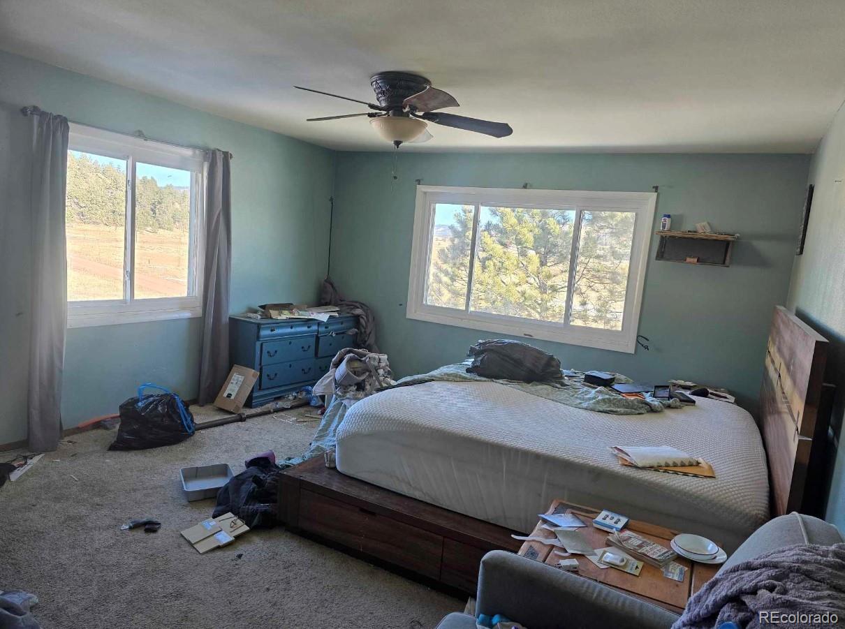 MLS Image #8 for 5878  lakemoor drive,florissant, Colorado