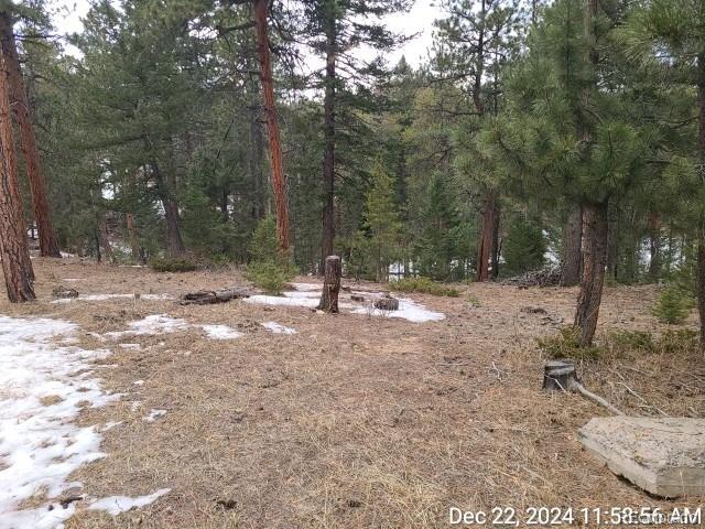 MLS Image #26 for 11967 w ranch elsie road,golden, Colorado