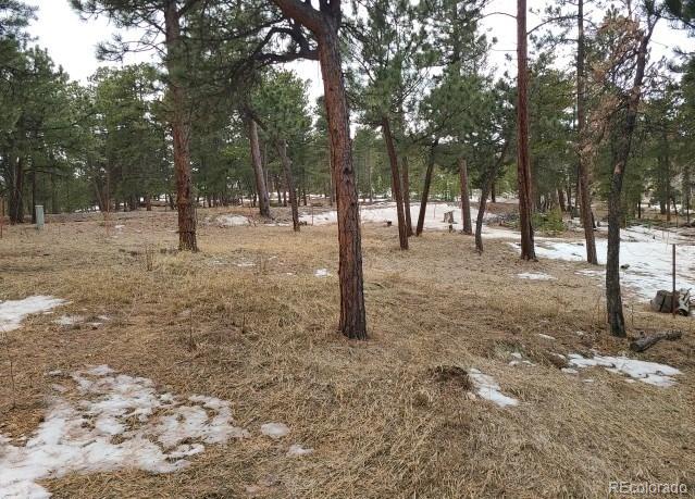 MLS Image #31 for 11967 w ranch elsie road,golden, Colorado