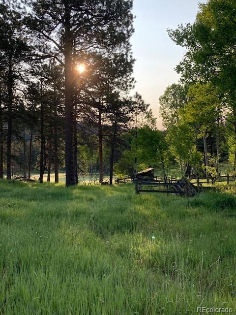 MLS Image #42 for 10120  apache spring drive,conifer, Colorado