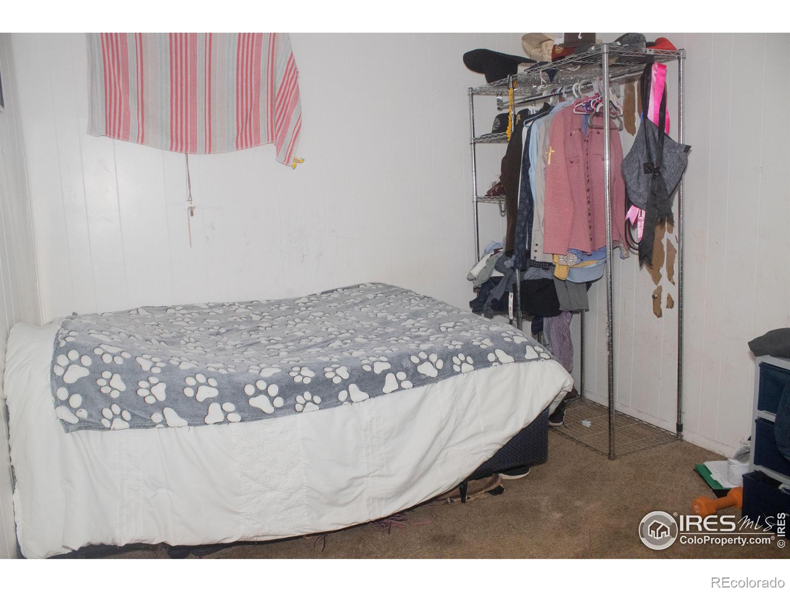 MLS Image #15 for 702  ray street,brush, Colorado