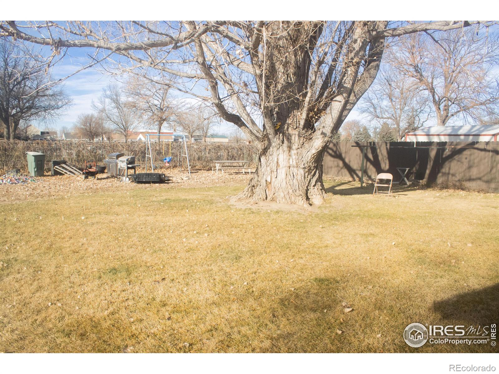 MLS Image #19 for 702  ray street,brush, Colorado