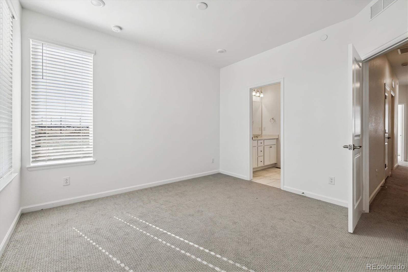 MLS Image #17 for 458  millwall circle,castle pines, Colorado