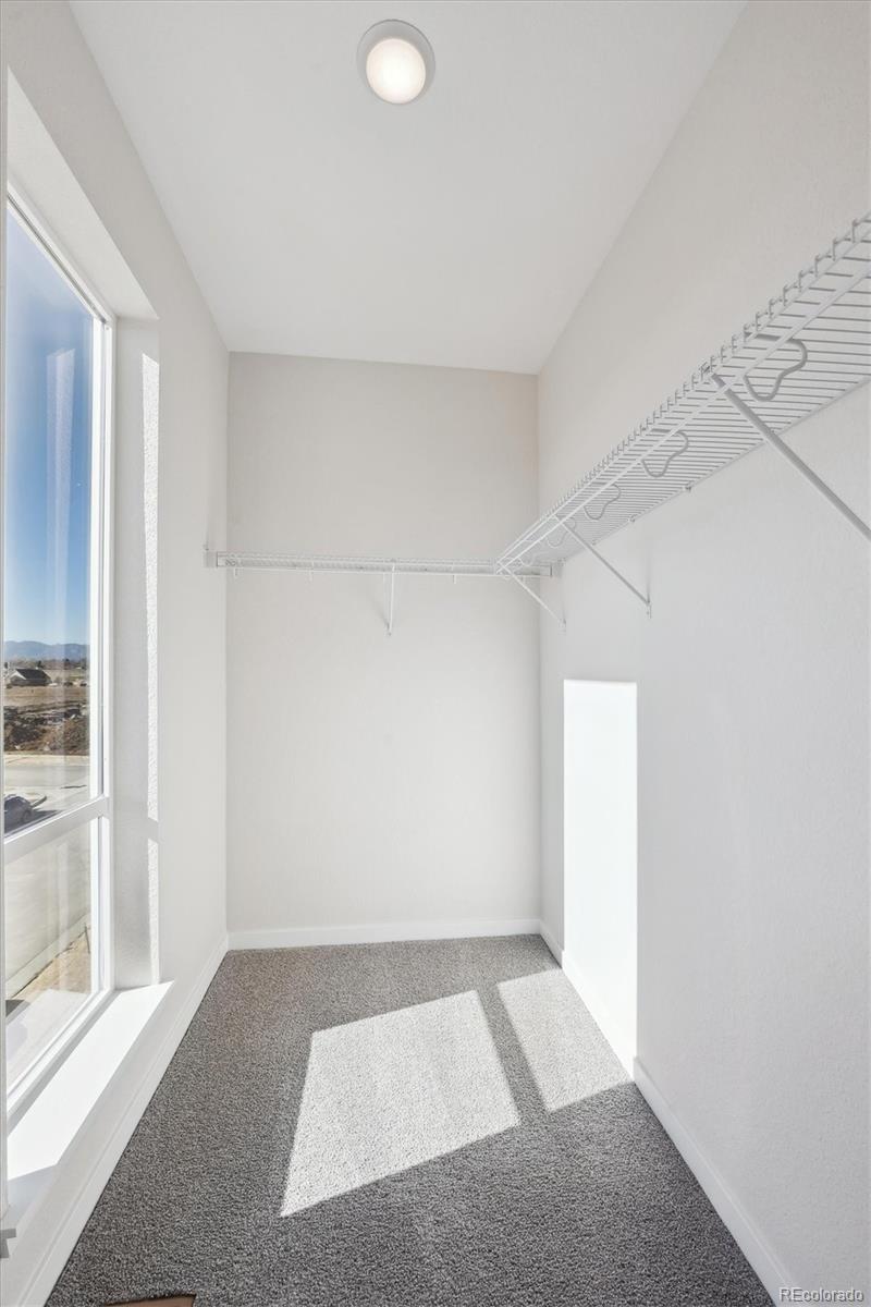 MLS Image #16 for 1269  penner drive,erie, Colorado