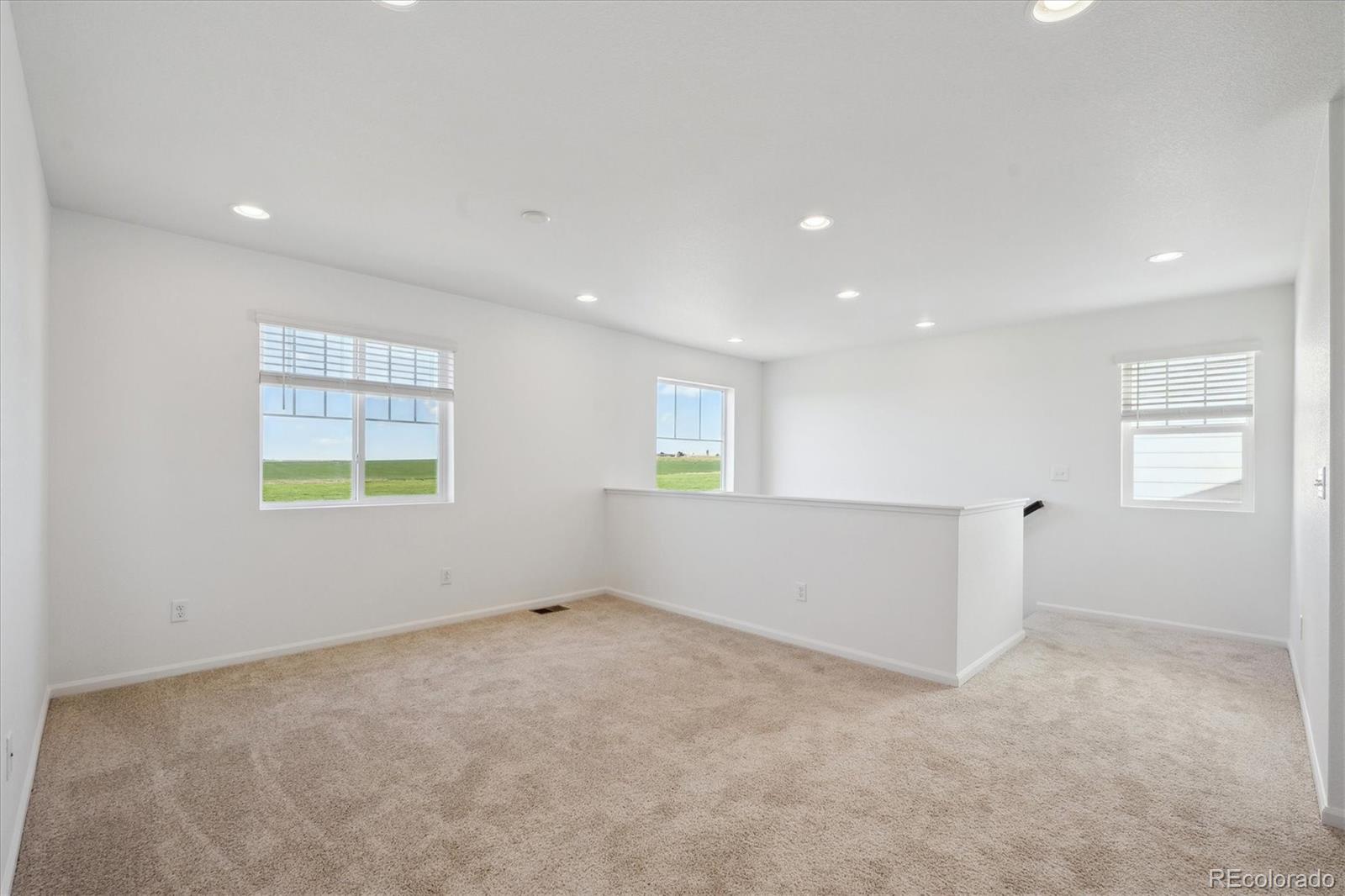 MLS Image #10 for 4644  short horn drive,johnstown, Colorado