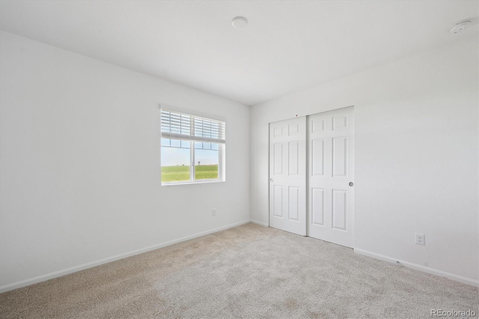 MLS Image #16 for 4644  short horn drive,johnstown, Colorado