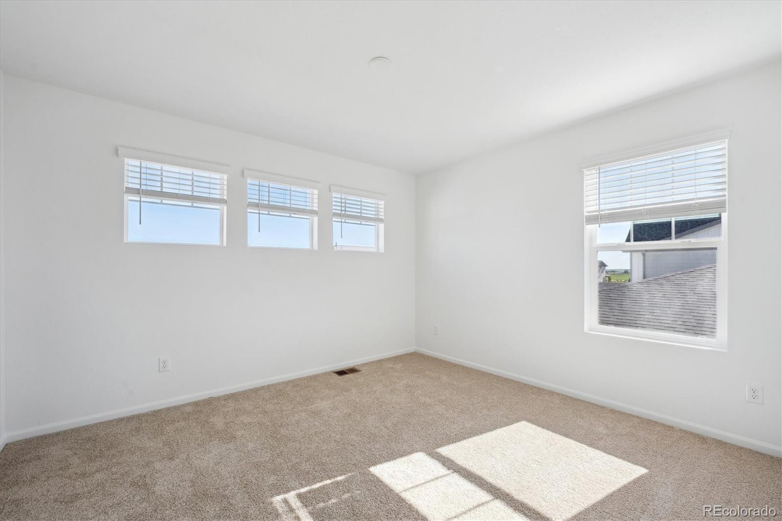 MLS Image #18 for 4644  short horn drive,johnstown, Colorado