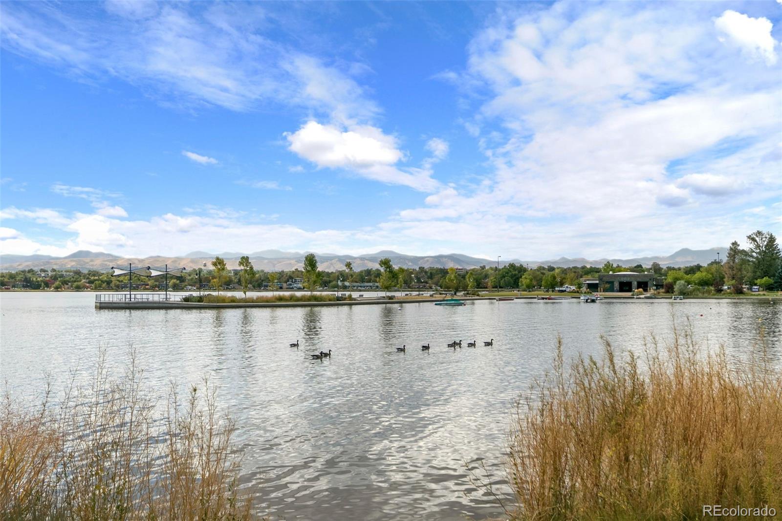 MLS Image #19 for 1275  winona court,denver, Colorado