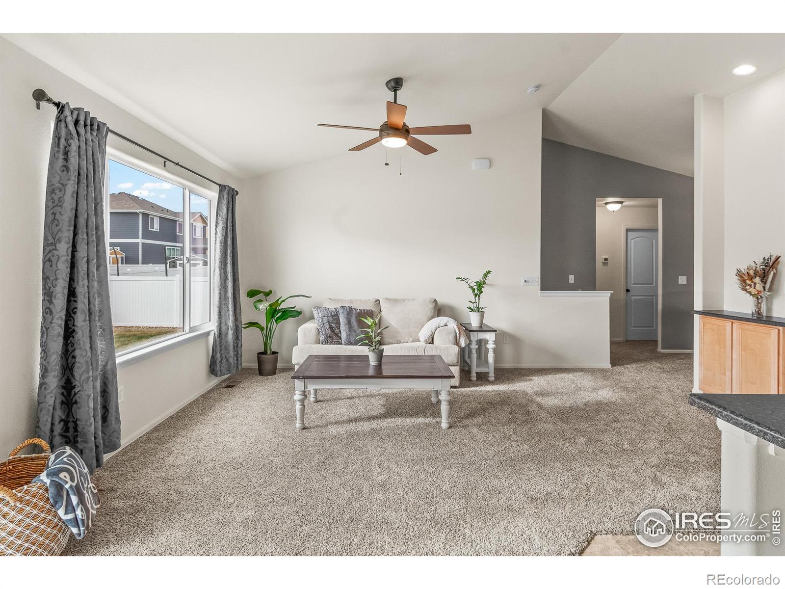 MLS Image #14 for 319  torreys drive,severance, Colorado